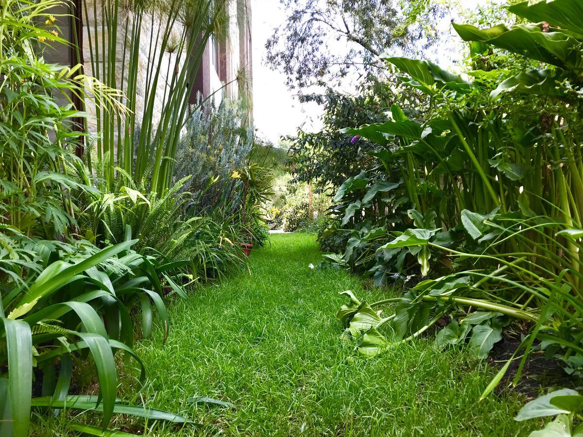 Ilalo Garden Hotel&Restaurant Quito Exterior foto